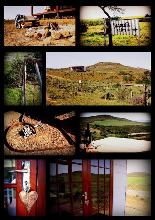 Melkboom Guest Farm * Heidelberg (Western Cape)