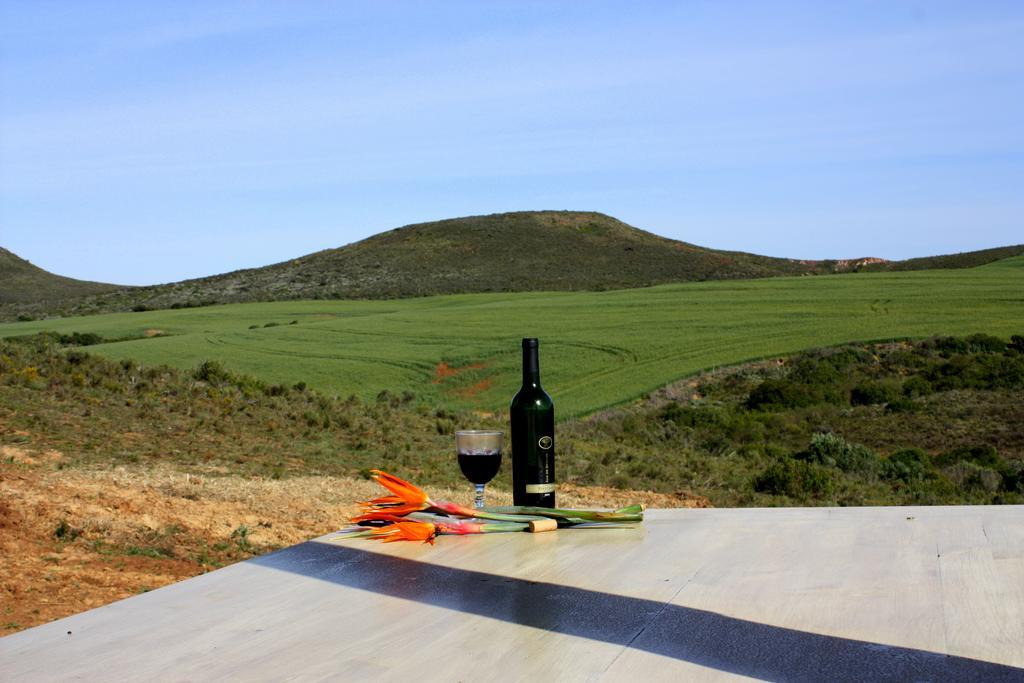 Melkboom Guest Farm Farm stay